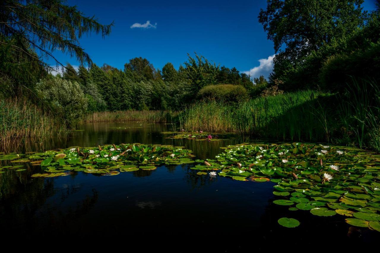 Idilliska Latgaliesu Lauku Maja Ar Melno Pirti Vila Aglona Exterior foto
