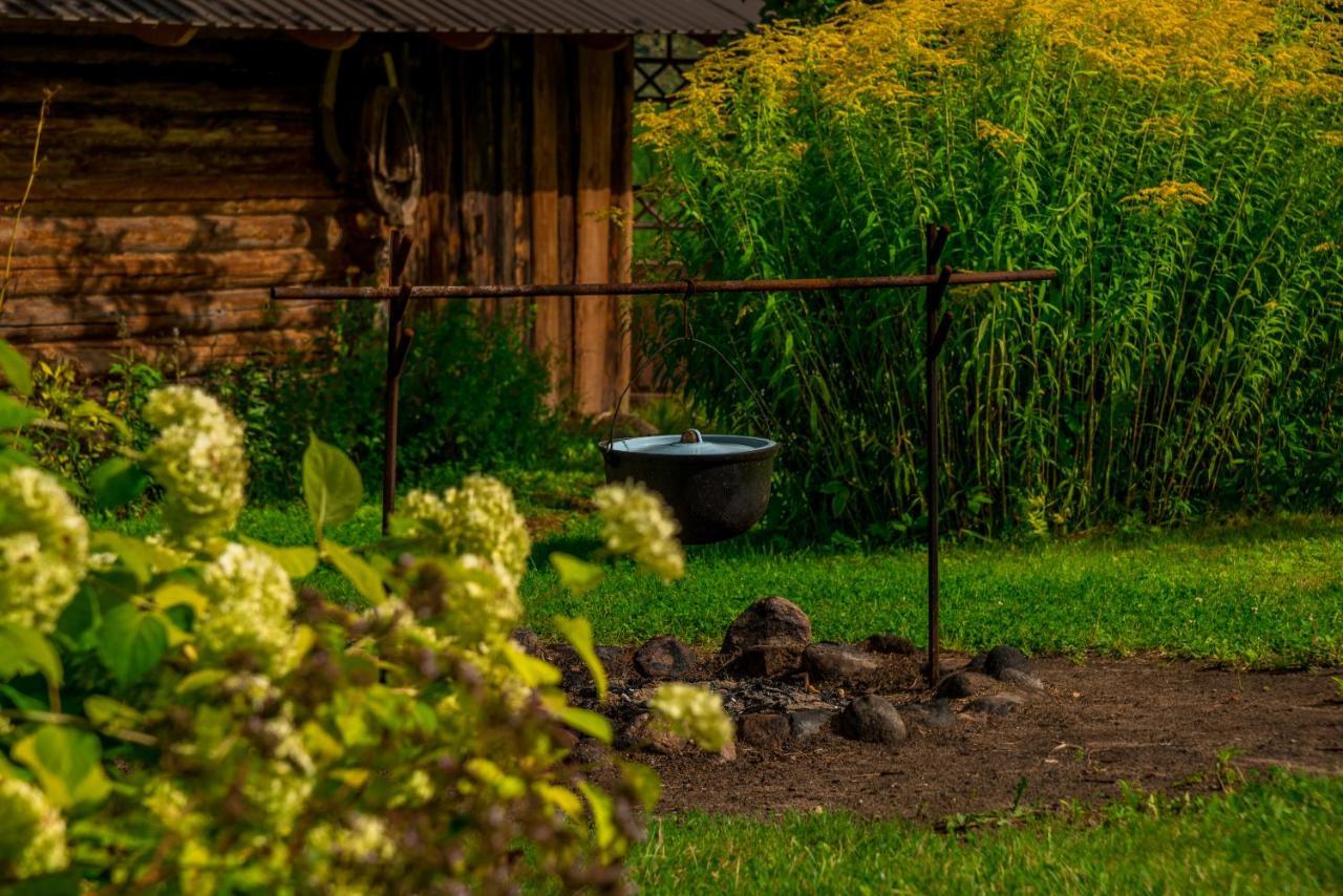 Idilliska Latgaliesu Lauku Maja Ar Melno Pirti Vila Aglona Exterior foto