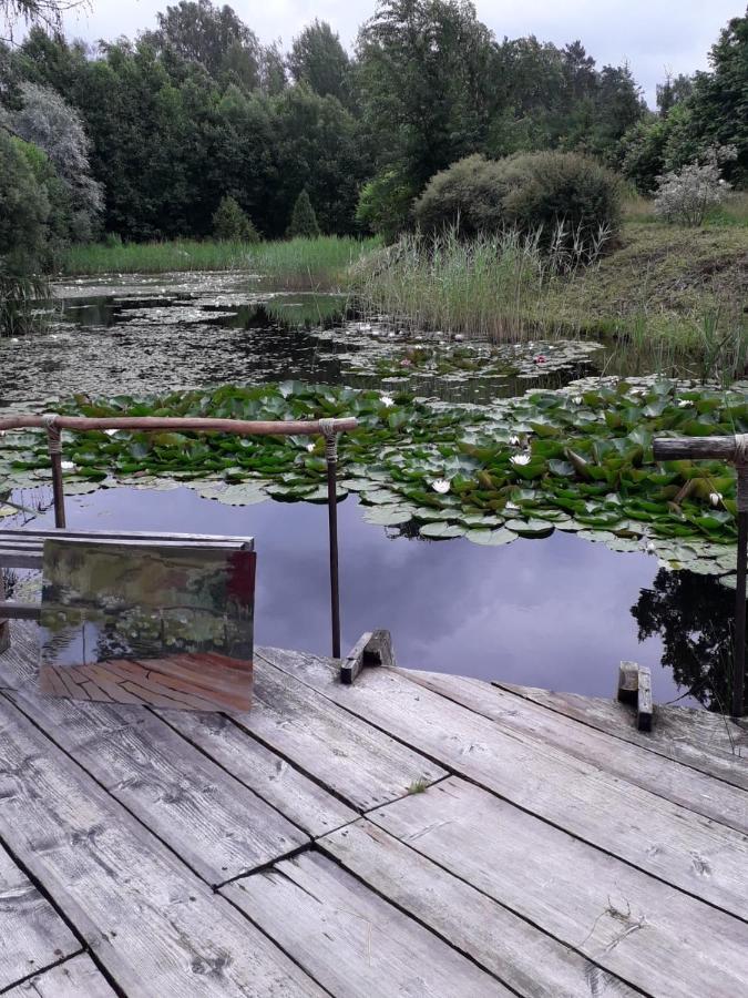 Idilliska Latgaliesu Lauku Maja Ar Melno Pirti Vila Aglona Exterior foto