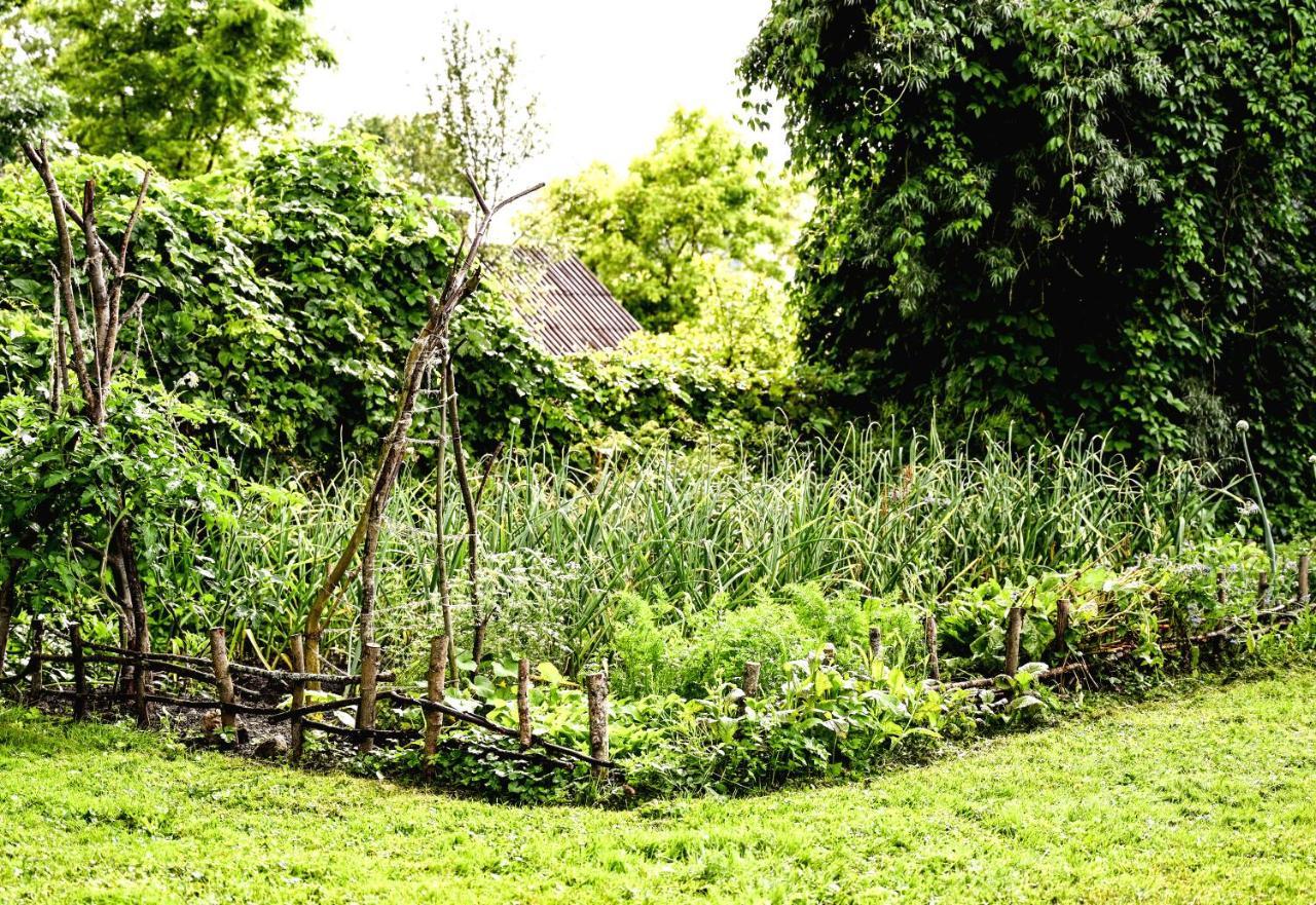 Idilliska Latgaliesu Lauku Maja Ar Melno Pirti Vila Aglona Exterior foto