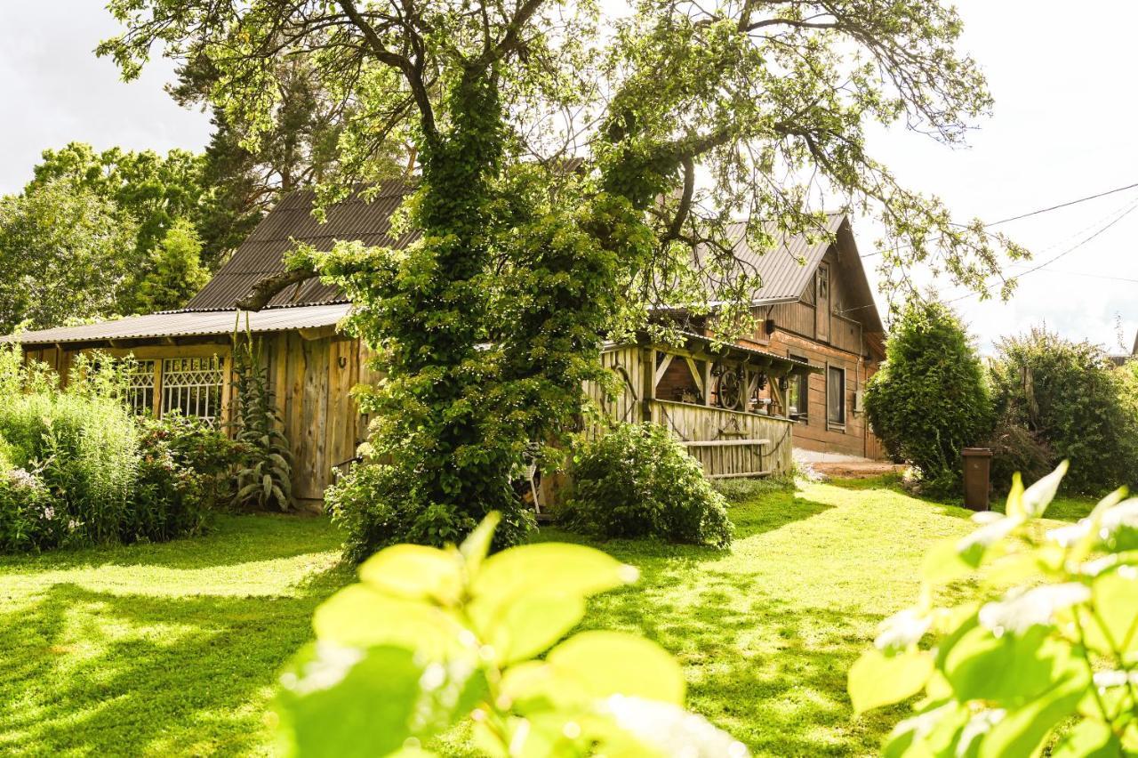 Idilliska Latgaliesu Lauku Maja Ar Melno Pirti Vila Aglona Exterior foto