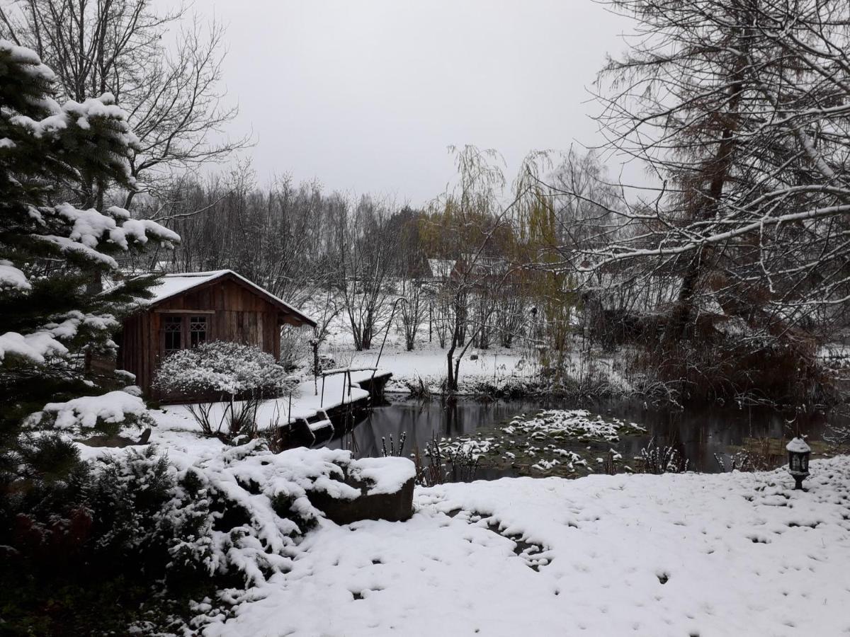 Idilliska Latgaliesu Lauku Maja Ar Melno Pirti Vila Aglona Exterior foto